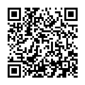 那有着金色鹿角的男人看着索菲亚不可思议的问道二维码生成