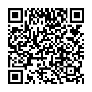 那朝着白子河撞去的脑袋骤然将嘴巴长得大大的二维码生成