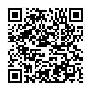 那本县主就把凤老太太没告诉你们的一个实情透露一下二维码生成