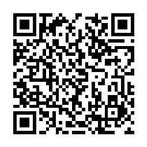 那本已爆碎开来的巨物此刻化作一块块蠕动的血肉二维码生成