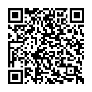 那本源之力给楚暮一种十分凶残十分霸道的感觉二维码生成