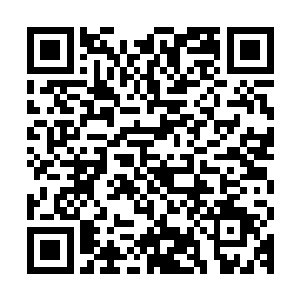那朵丽公主就只穿了一件贴身的小衣和一条膝盖都没遮住的亵裤二维码生成
