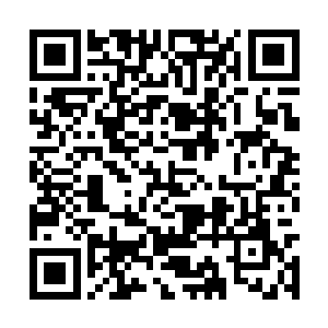 那朵原本很娇嫩的小花被睿儿的力道捏得有些变形二维码生成