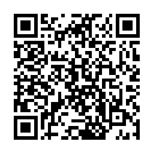 那朵玫瑰花怎么也没有想到这头金龙说话这么的难听二维码生成