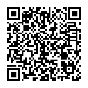 那朵百元大钞折叠的玫瑰花和杜玉婷写给白振东的那封书信也掉了出来二维码生成