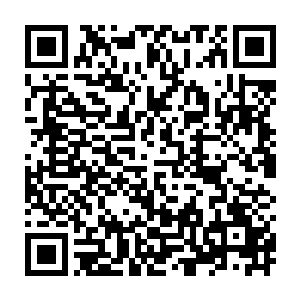 那朵细小的红莲没再旋转而是悄然飞到魅业火头上轻轻的别到她火红的头发里二维码生成