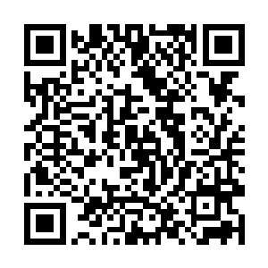 那束缚着所有人的来自神秘通道的约束一下子消失了二维码生成