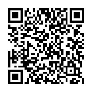 那条土路包括两边的农田早就被开发区征下来了二维码生成