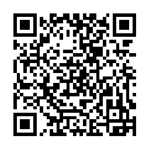 那条在珍珠里不断游动的鱼儿直接从珍珠里跳了出来二维码生成