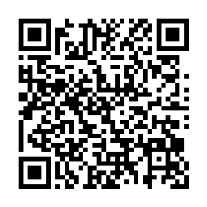 那条灵活而有力的舌尖如巨蟒一般撬开自己嘴唇二维码生成