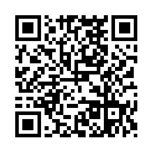 那条狗欢快的跑跳着越过烂砖头堆跑过去二维码生成