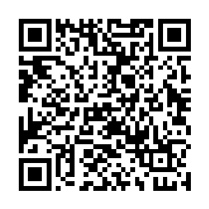 那条粗大的尾巴在空中拉出了残影向着许紫烟抽了过去二维码生成