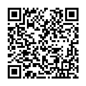 那条粗如水缸的巨大白蛇竟然如人一般流淌出泪水二维码生成