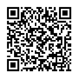 那条血虫所看到的一切全都呈现在了她的脑海中二维码生成