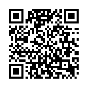 那条身体僵硬的毒蛇没有再盘住树枝二维码生成