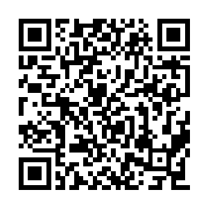 那条还没有完全复苏的小蚯蚓此刻彻底焉了下去二维码生成