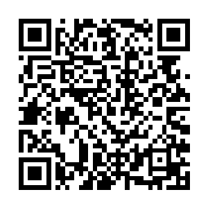 那杨正林果然跑去打听是不是有巡逻队的抓到修士了二维码生成