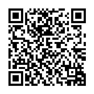 那林尚远远见到当今皇帝水无痕和太子殿下水易天双双驾到二维码生成