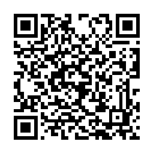 那林柔儿更是知道许紫烟为什么要在外面布设阵法二维码生成