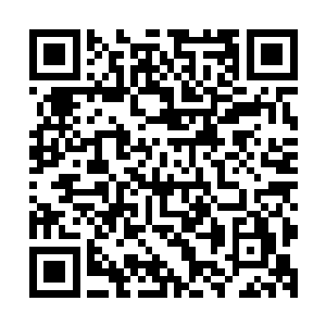 那枚印记上记载了红路领军一路杀过来的荣耀但对于马文来说二维码生成