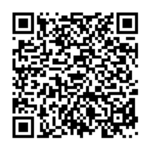 那枚火红色的令牌直接再一次化作了一道流光直接来到了龙傲天的手中二维码生成