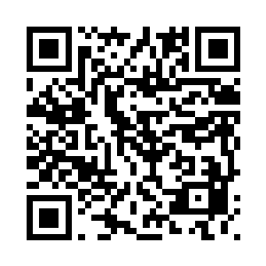 那枯黄明显的月季森林也看不见了二维码生成