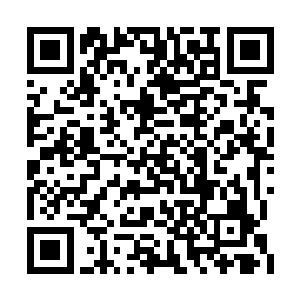 那架势就是要亲眼目睹李庄主是怎么炼制丹药的二维码生成