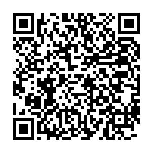 那架彻底被打磨光重新喷涂了机身漆面的空客a330已经变成了黄蓝相间二维码生成