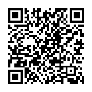 那柳一清看到年纪轻轻的许紫烟竟然自己就拥有一整座山峰二维码生成