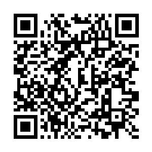 那栋建筑就是刚才不怕和两名衍生者对战打烂的……二维码生成