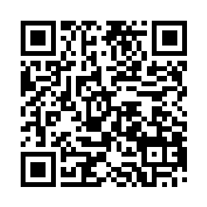 那株人参果树焕发生机的进展肯定会加快二维码生成