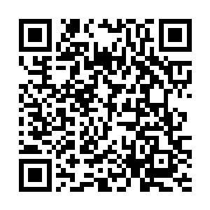 那样一个个性鲜活飘逸出尘更是聪慧无双的绝代佳人二维码生成