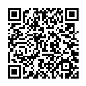 那样你才能够有足够的领悟之光去提升你的圣域绝学二维码生成
