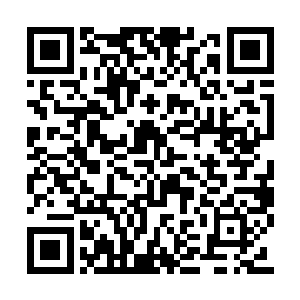 那样子完全就是饿极了的野兽见到了美味的食物二维码生成