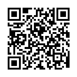 那样子看起来像极了正在算计人的小狐狸二维码生成