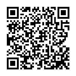 那样的话……自己要损失多少出场费和进球奖啊二维码生成