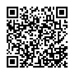 那样的话宿主便可以利用念动力将万能药送入嘴中了二维码生成