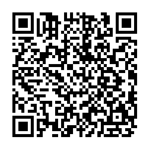 那样的话很多能够吸引收视率的场面与评委们的妙语连珠便不能充分展示了二维码生成