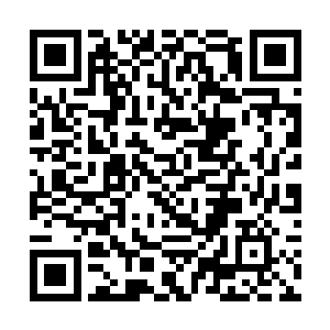 那桀骜不驯的梼杌都被一击斩杀的情景可是历历在目二维码生成