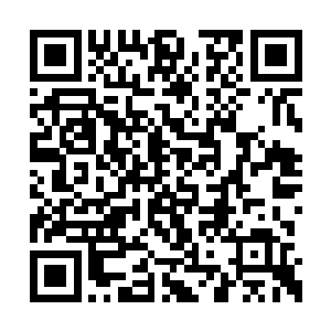 那案板一刻不停的闪烁着水波般的奇异符文力量二维码生成