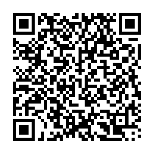 那梵天幻象得到了一次强力的充能……那一只断掉的手臂虽然没有完全恢复过来二维码生成