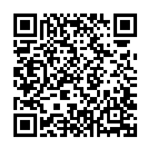 那棕木树人却仿佛是看到了什么极为恐怖的东西一样二维码生成