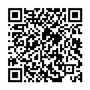 那棵树现在已经被盲琴师的琴音以及陈长生的剑意斩成了虚无二维码生成