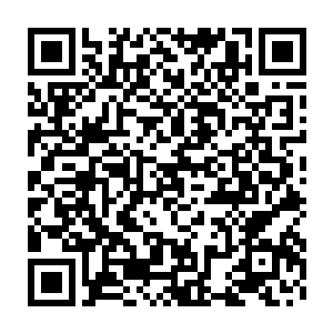 那棺材内的存在必然是要比黑佛组织的巨头还要强大还要牛逼的存在二维码生成