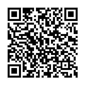 那模样像足了一个盼望看到自己成绩的三好学生二维码生成