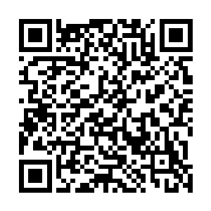 那次他们准备带着全校师生到祝南镇梦幻海洋馆进行游玩二维码生成