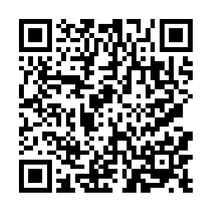 那次的秋季食品展销会来了全国各地很多家的公司企业二维码生成