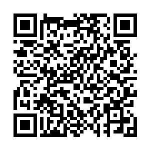那正中央的莲花池当中似乎有一件遗留已久的极重要东西二维码生成