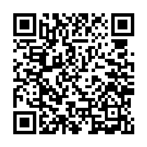 那正在和烈焰佣兵团交战的一干周氏佣兵团成员二维码生成