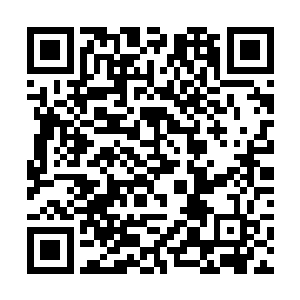 那正是六耳妖猿脚下的肉垫踩踏在了地上发出的响动二维码生成